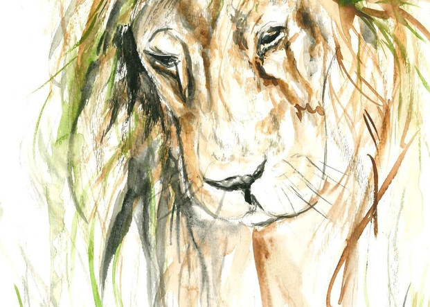 Lion In Grass Art | Lauren Walters Fine Art