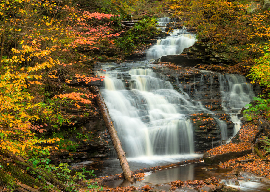 Mohican Falls Ricketts Glen Autumn Waterfall Fall