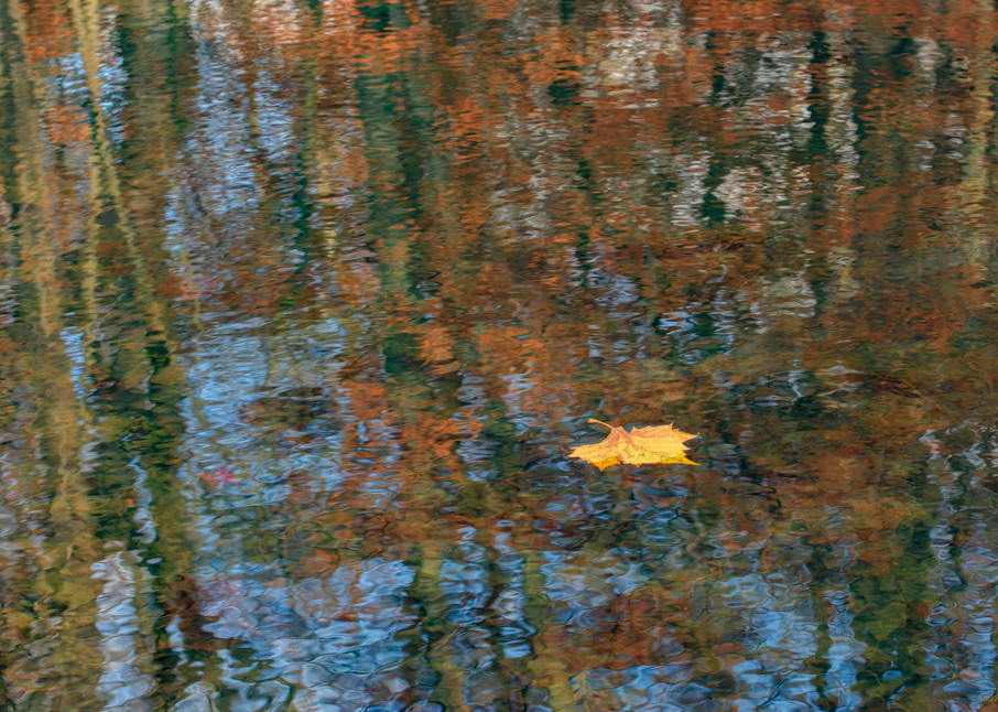 Reflecting On Fall     3684 Photography Art | Koral Martin Fine Art Photography