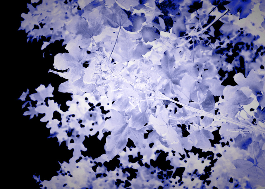 Blue Leaves Art | onlythemoon