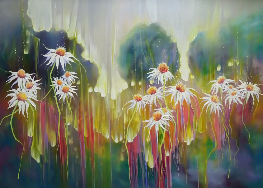 prints on canvas or paper of white daisies in summer meadow 