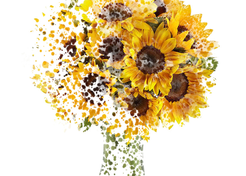 Sunflowers Coming Together Art | Art from the Soul