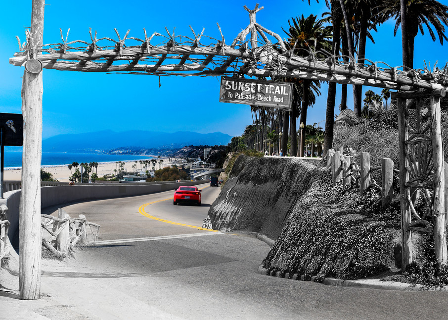 Entrance To The Sunset Trail At Santa Monica's Palisades Park Art | Mark Hersch Photography