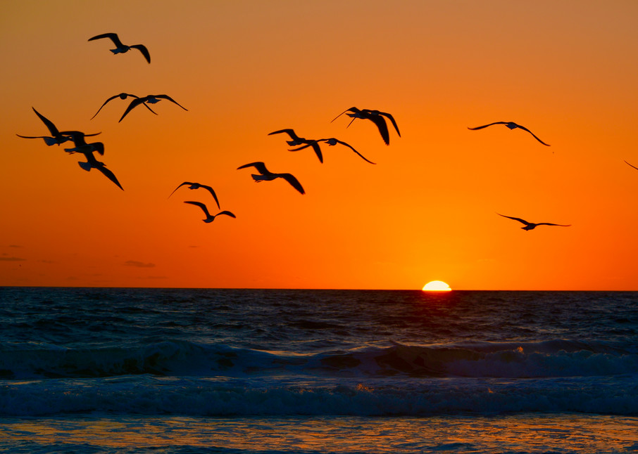 Beauty Photography Art | John Tesh Photography