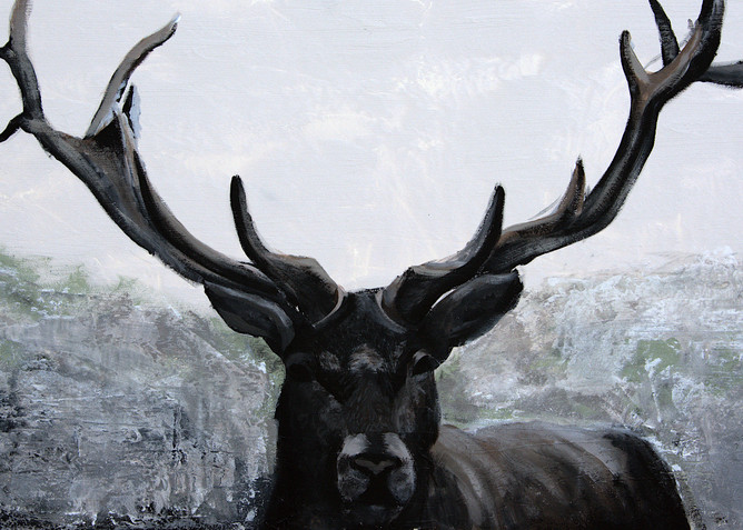Catching the Scent-Wildlife Deer Portrait | Niki Baker |  Fine Art Painter