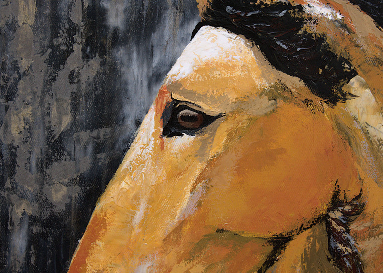 Hudson- Percheron Horse Painting | Niki Baker | Fine Art Painter