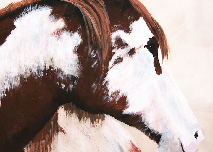American Paint Horse- Portrait | Niki Baker | Fine Art Painter