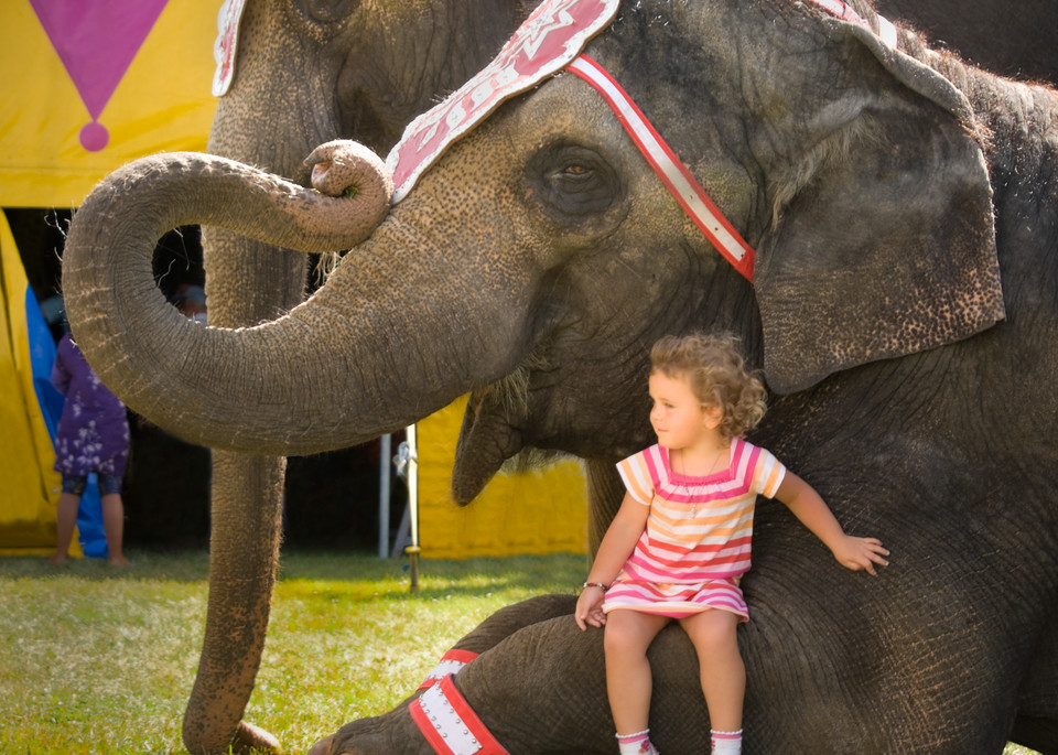 A Girl And Her Elephant Photography Art | Mark Stall IMAGES