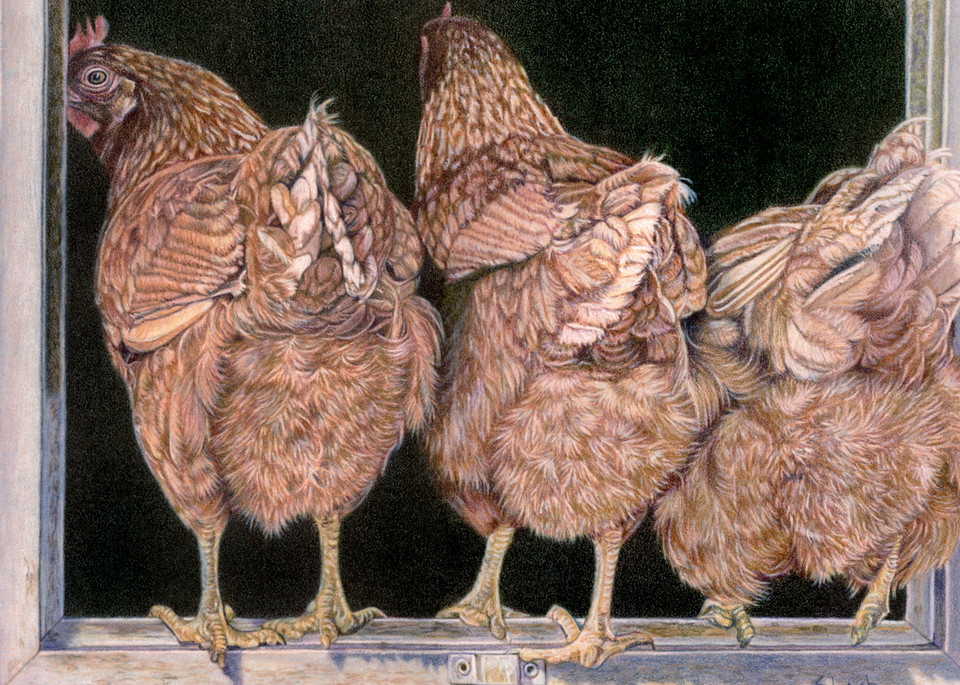 What’s Up Chicken Butt Art | Sherry Lamb Fine Art