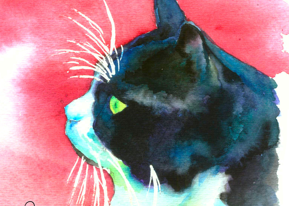 Black and White Tuxedo Cat Watercolor Art