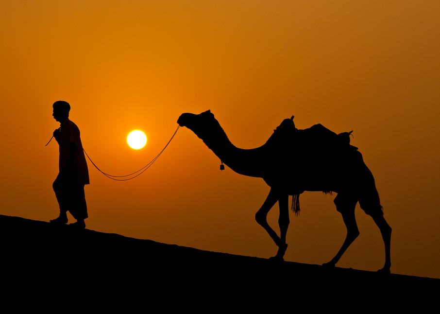 Silhouette of a man leading a camel through the desert in front of a spectacular orange sunset.