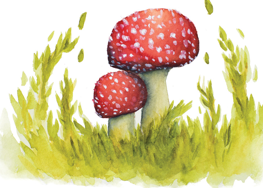 Enchanted Meadow Fly Agaric  Art | Cool Art House - online art gallery with hip emerging artists. Collect cool art you can view on your own wall before you invest!