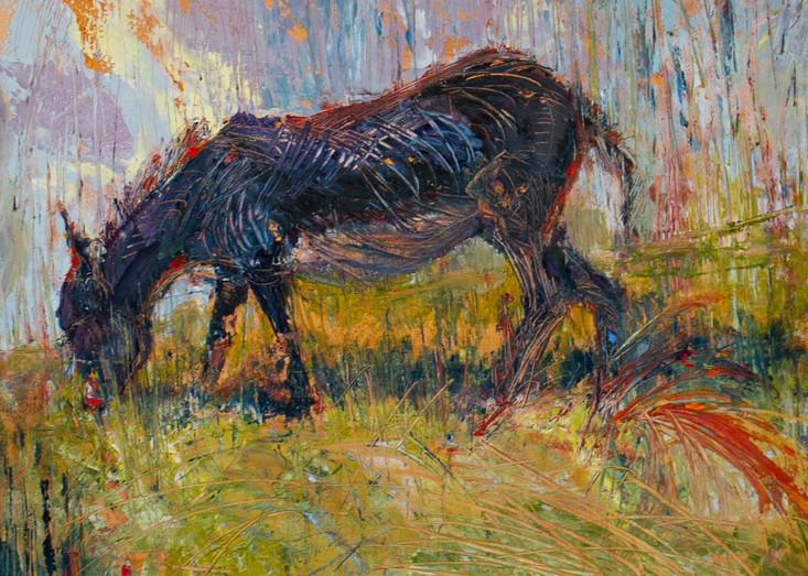 Lavelle Fine Artist | Irish Donkey