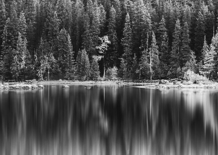 Lake Wenatchee Monochrome Reflections Photography Art | Austin Marvel