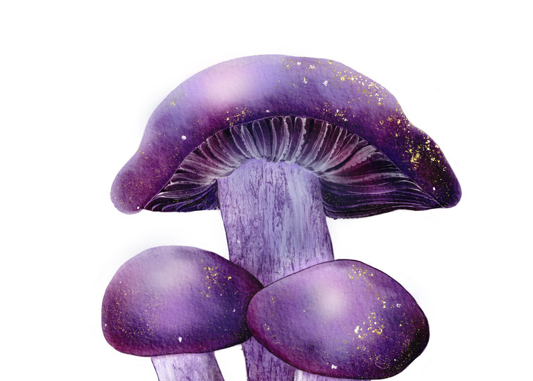 Golden Wood Blewits  Art | Cool Art House - online art gallery with hip emerging artists. Collect cool art you can view on your own wall before you invest!