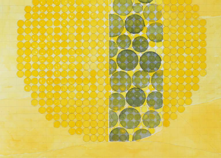 Circle Circle, Yellow Art | Courtney Miller Bellairs Artist