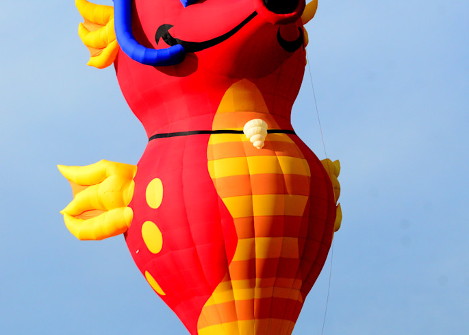 Snorkeling Sea Horse Hot Air Balloon Art | Bellz Artistry