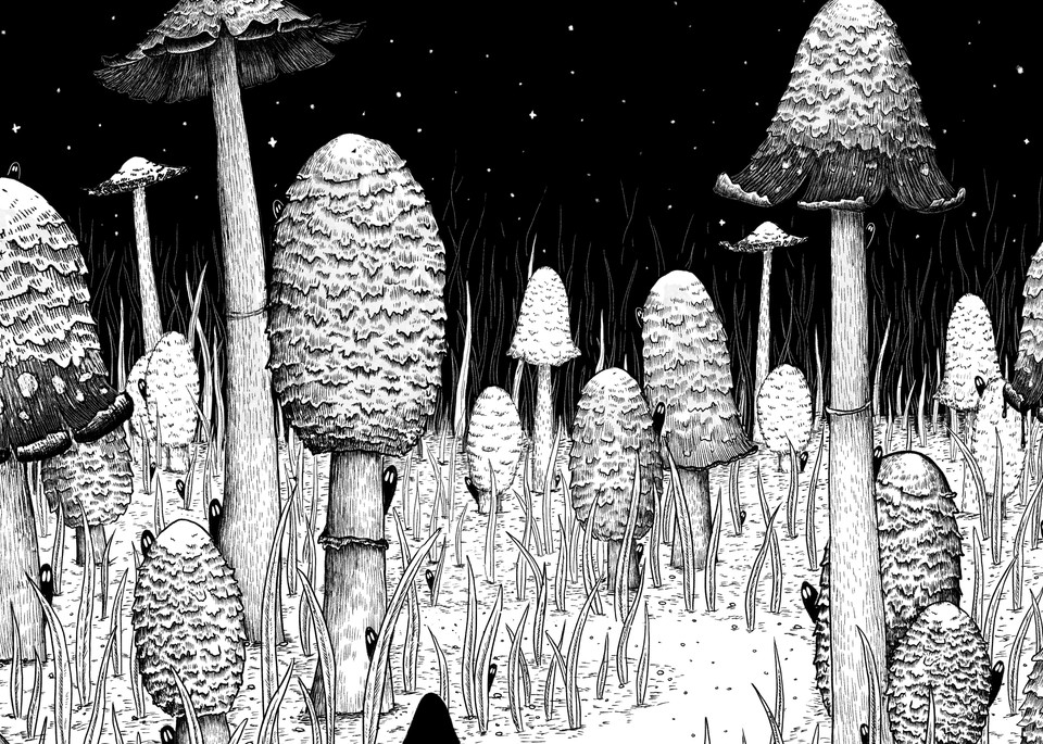 Inkcap Trail Mushroom Art Print