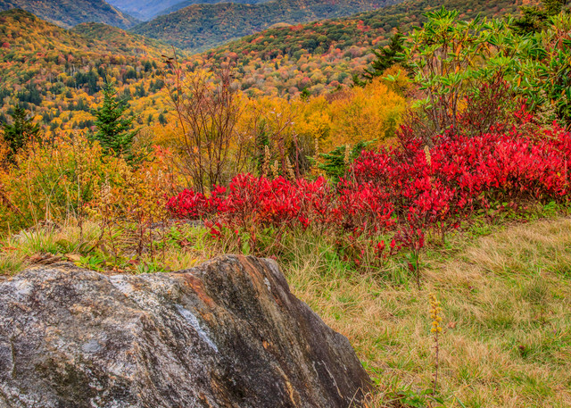Huckleberry Autumn Art | Red Rock Photography