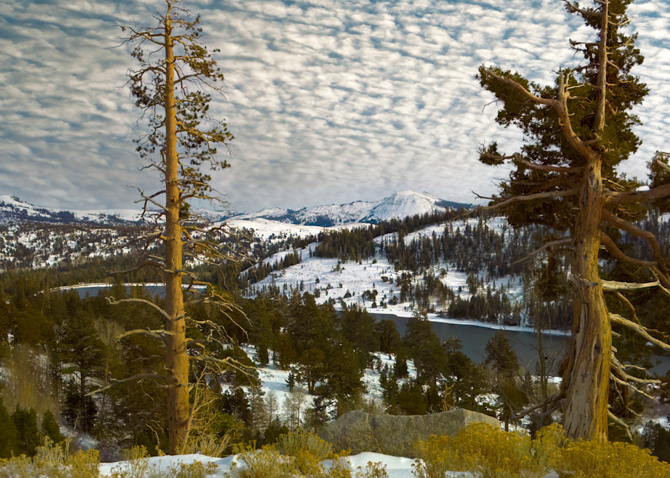 Sierra First Snow Photography Art | FocusPro Services, Inc.