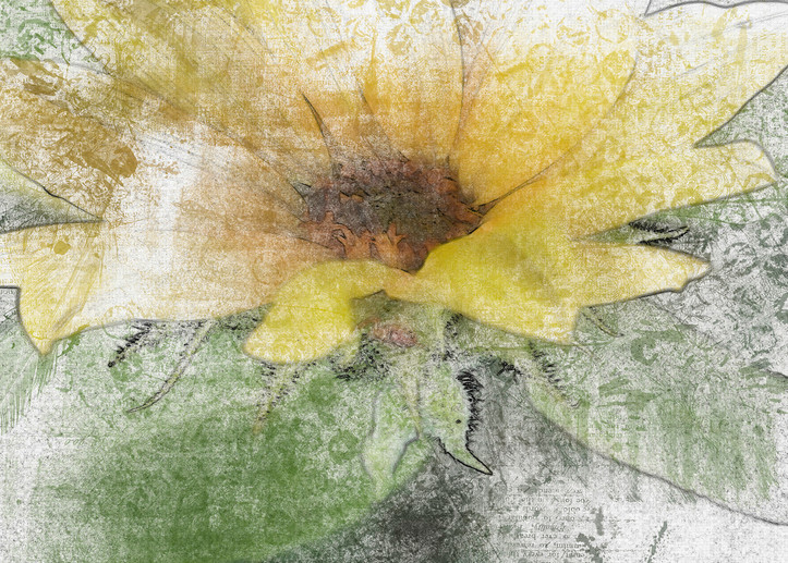 Sunflower Water1size Art | R.j.Ricci Art