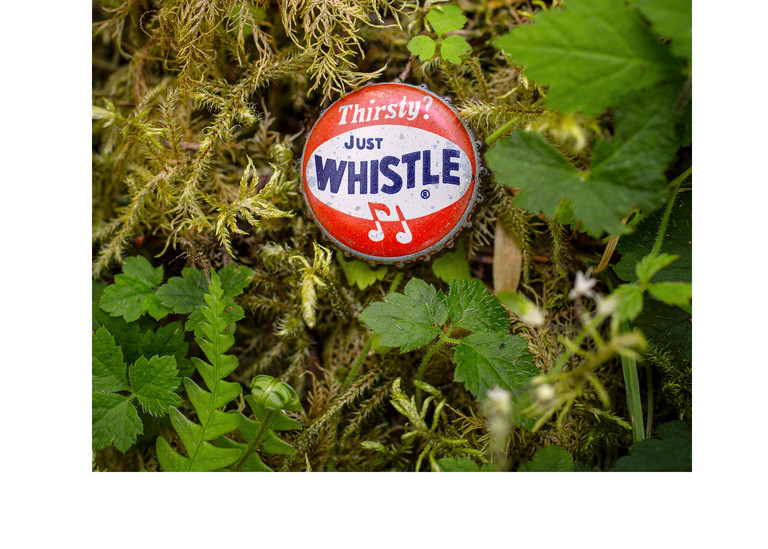 Whistle   Hoh Rain Forest, Wa (Vertical) Photography Art | Joel Fischer Photography