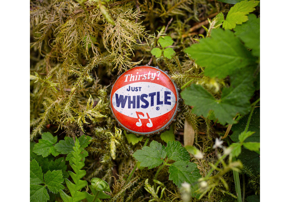 Whistle   Hoh Rain Forest, Wa Photography Art | Joel Fischer Photography