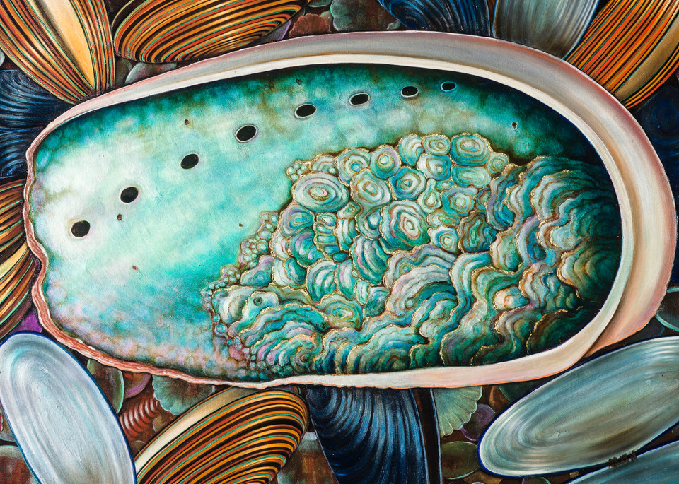 Beautiful Mia Pratt Abalone Shell Wall Art Print