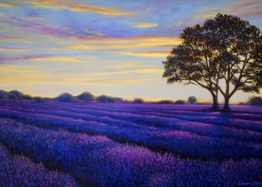 Lavender Sunset Art | Lino Laure Art Gallery
