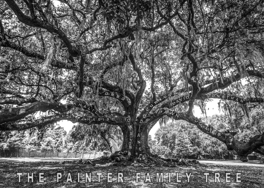 Painter Family Tree Of Life  Photography Art | Kermit Carlyle Photography 