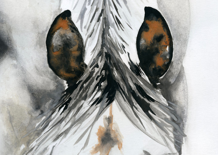 Giclee Print "White Horse Head Down" portrait by April Moffatt