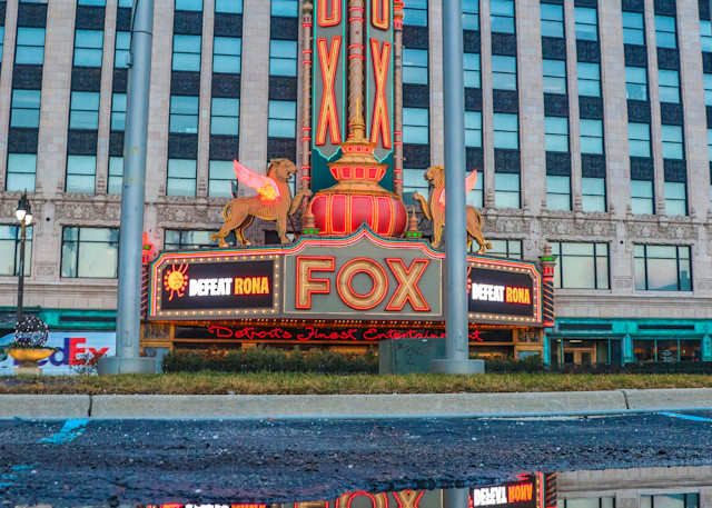 The Fox Rona Reflection Photography Art | Ray Marie Photography 