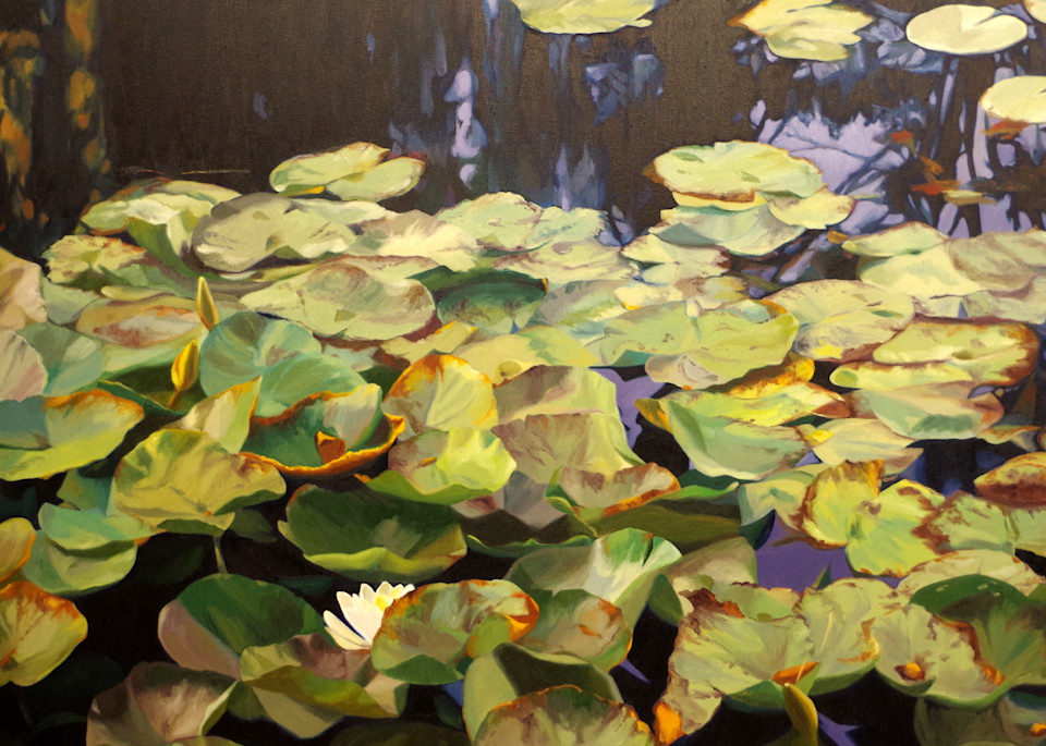 Pond Garden In Fall Art | Helen Vaughn Fine Art