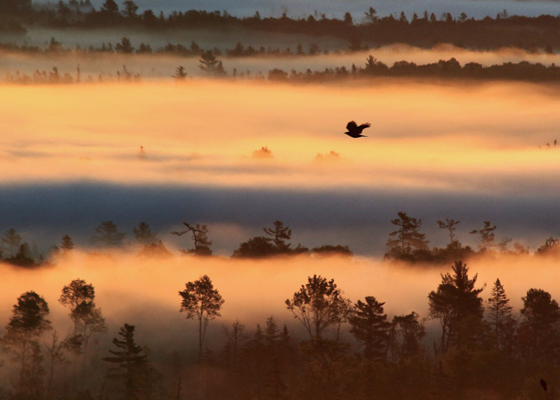 Dawn Flight Photography Art | Roger Merchant, Place-based Photographer