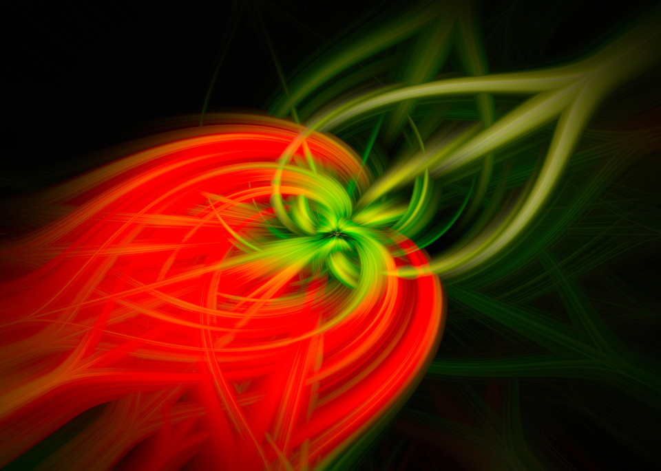 Fire Flower Twirl Art | Gary Gallery & Gifts, LLC