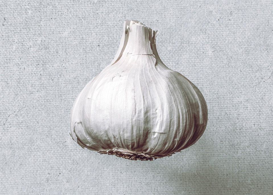 Food Canvas Garlic | Nathan Larson Photography