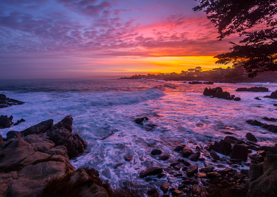 Spectacular At Sunrise Berwick Park, Pacific Grove Photography Art | Brad Wright Photography