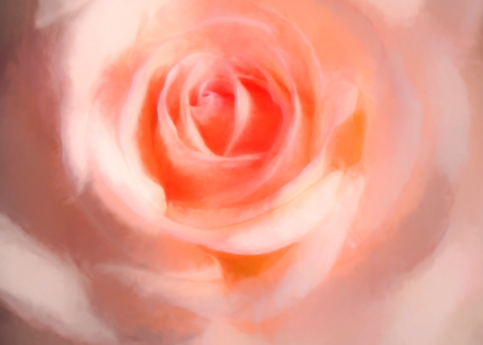 Pearlescent Rose