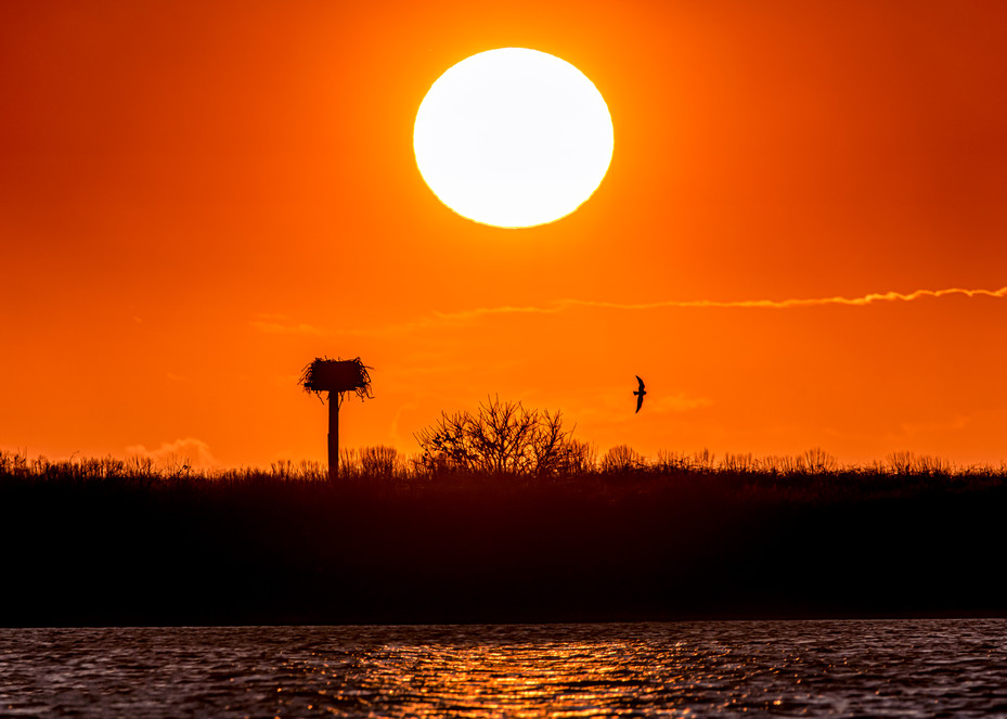 Chappy Cape Poge Osprey Setting Sun Art | Michael Blanchard Inspirational Photography - Crossroads Gallery