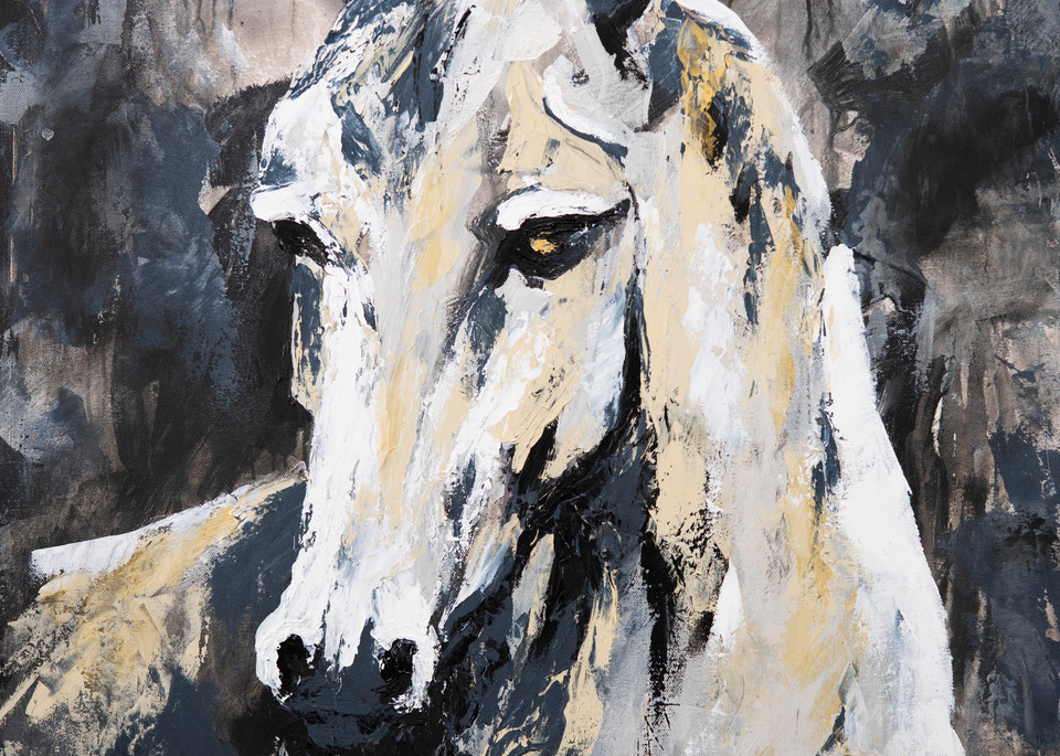 Graphite | Horse Portrait Painting | Niki Baker Fine Art