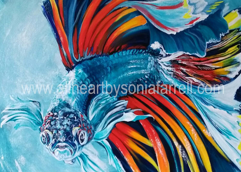 Medley Swing Print | Fish Art | Nature | Quality Prints | All Heart by Sonia Farrell
