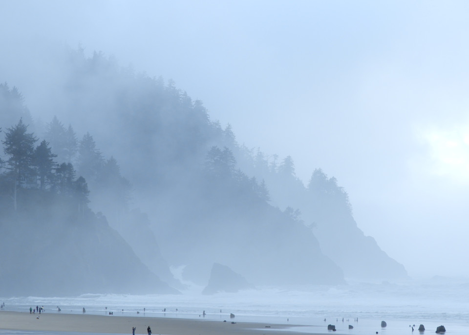 Pacific Morning Mist Art | sgehring