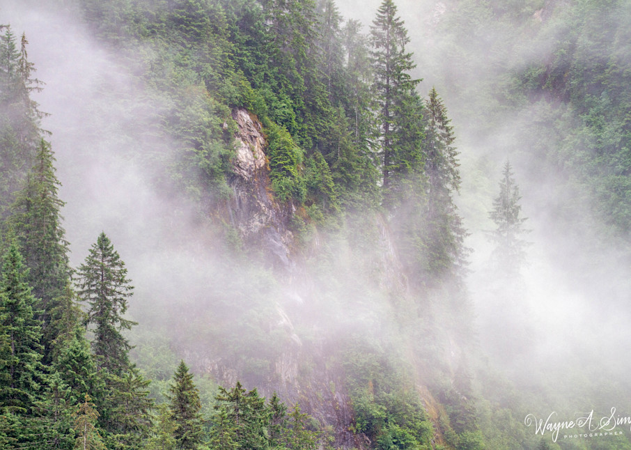 Alaska Mist On The Mountain Photography Art | waynesimpson