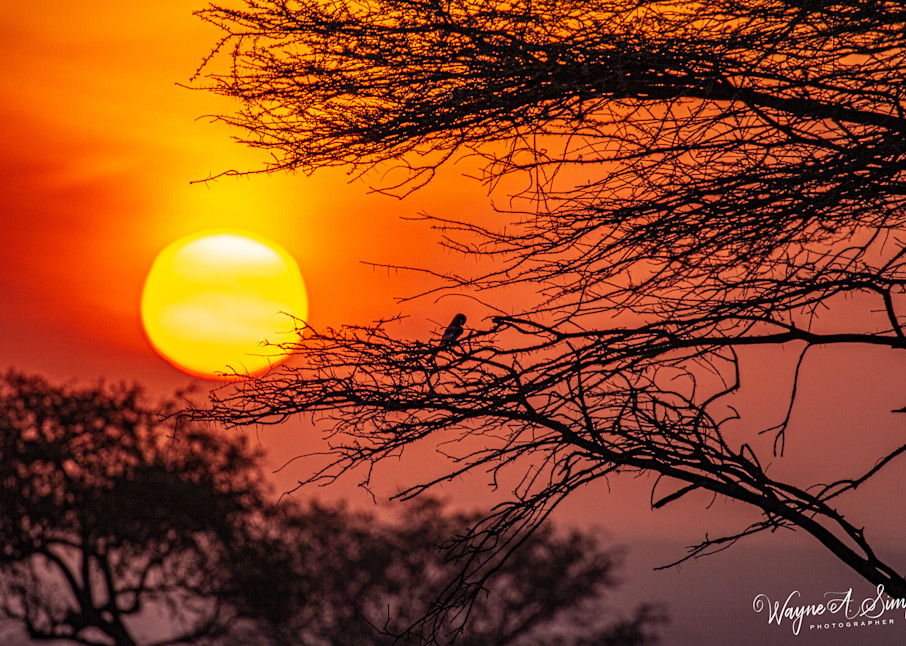Tanzania Sunset Photography Art | waynesimpson