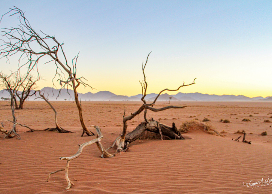 Namib Desert Photography Art | waynesimpson