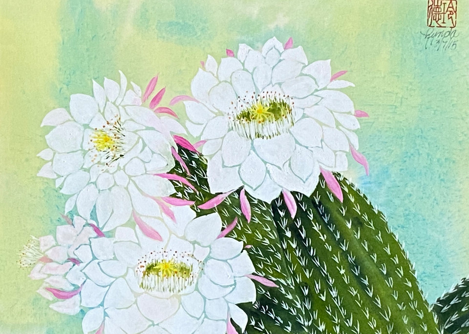 The Bloomin' Desert Art | Lynda Frautnick Fine Art