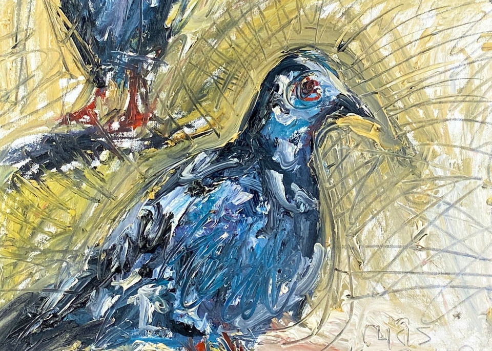 Nyc Pigeons Art | Chris Kappmeier Studio