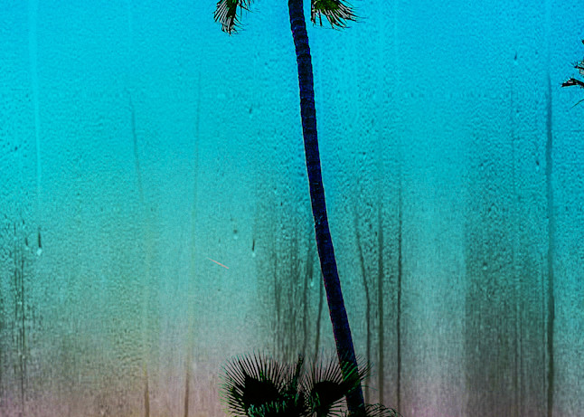 Venice Rain Art | Alena Dawn Art & Design