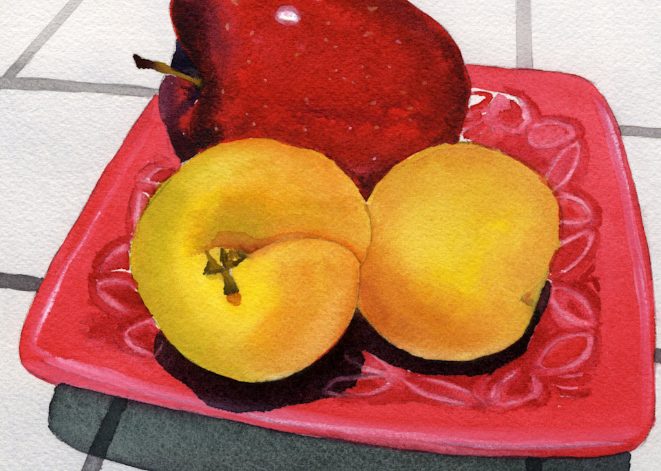 Apple & Apricots  Art | Machalarts Watercolor Studio