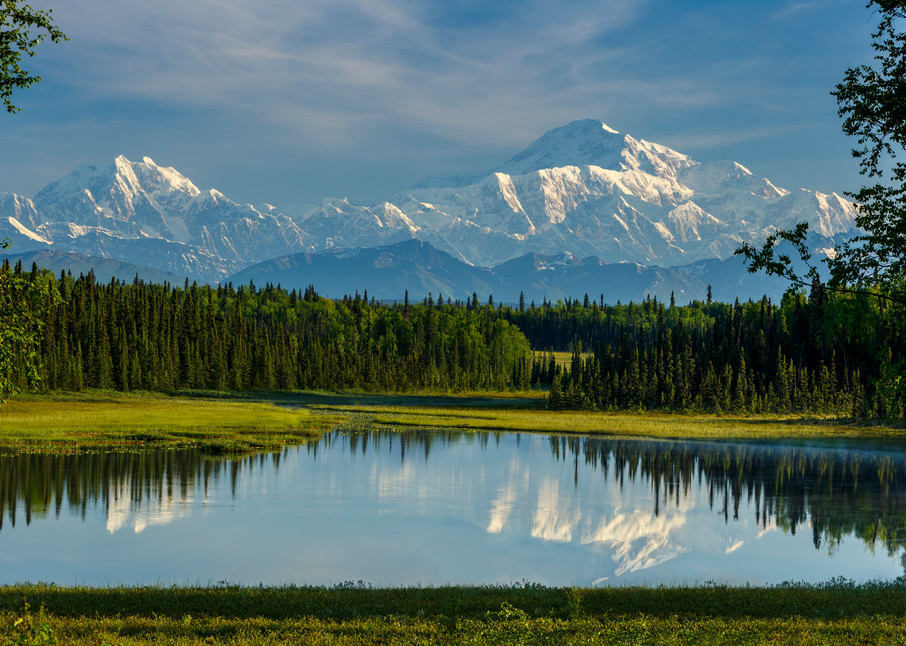 Summer landscape of the southside view of Denali (aka Mt. Mckinley) and the Alaska Range in the early morning hours of summer. Reflection in lake.  Southcentral, Alaska

Photo by Jeff Schultz/SchultzPhoto.com  (C) 2016  ALL RIGHTS RESVERVED